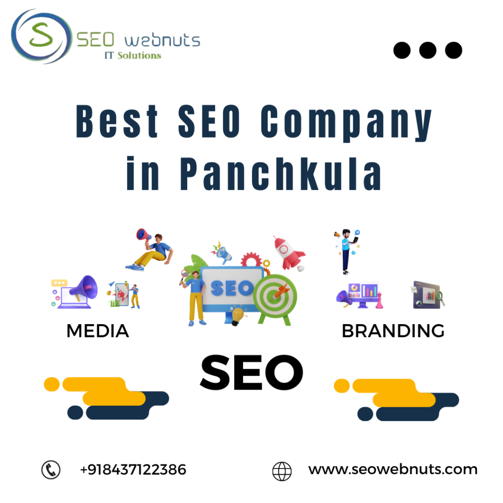 Best SEO Company in Panchkula